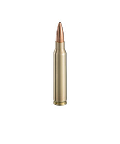 .223 Rem HPBT Sniper 1 77gr