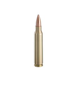 .223 Rem HPBT Sniper 69gr