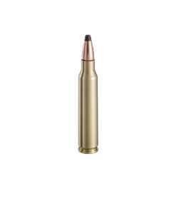 .223 Rem EXPT 55gr