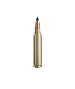.223 Rem Polymer Tip 55gr
