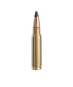 .308 Win EXPT 150gr