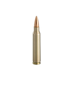 5,56x45mm Comum (Ball) M193