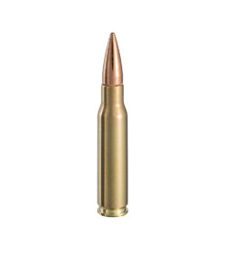 7,62x51mm Comum (NATO Ball)